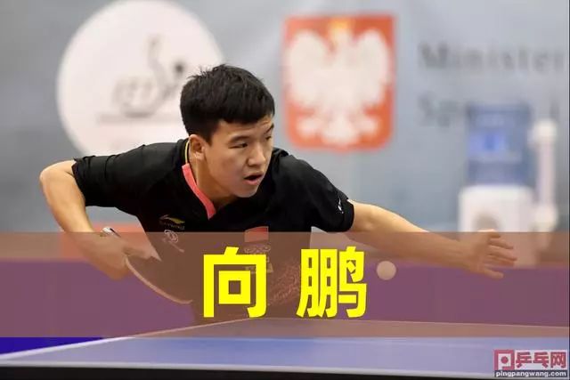 他们的表现 他们的表现