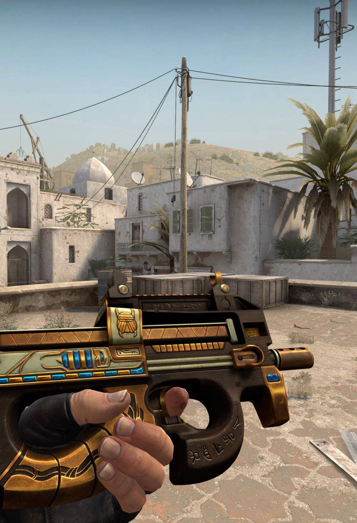 新任者需要 新任者需要