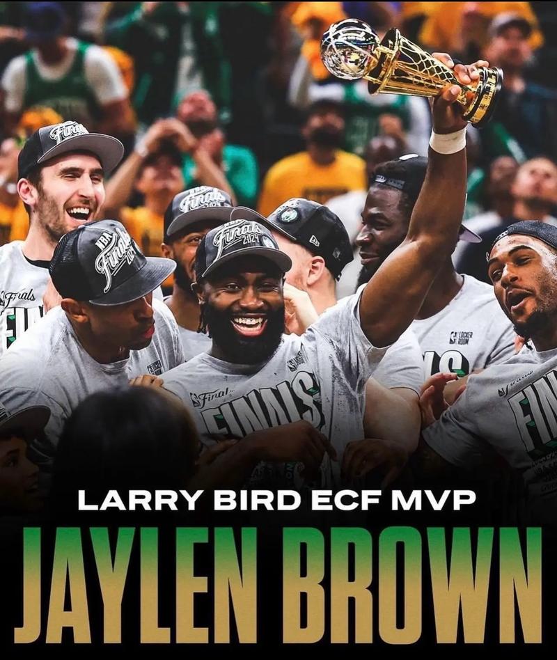 公告口径首 公告口径首